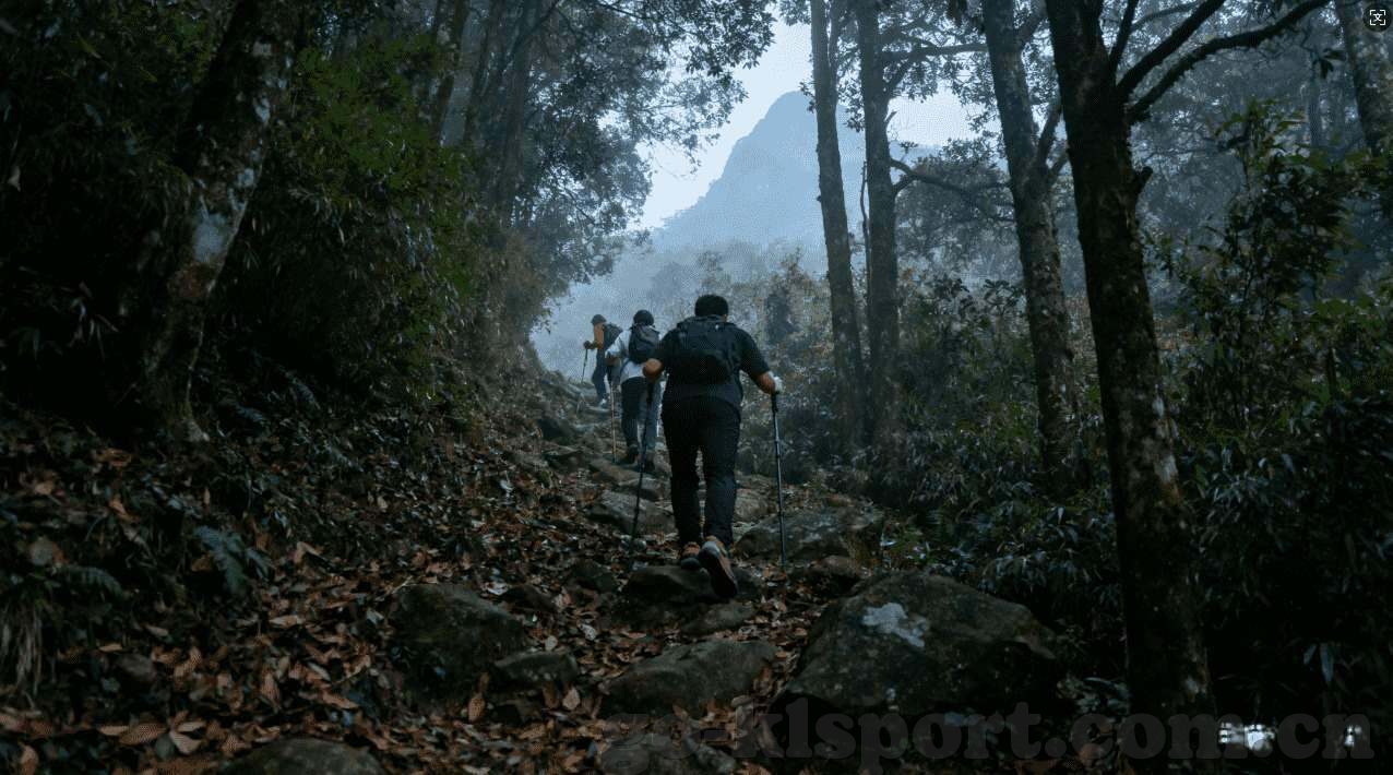 澳门金沙网上赌场提现-一、金融安全风险